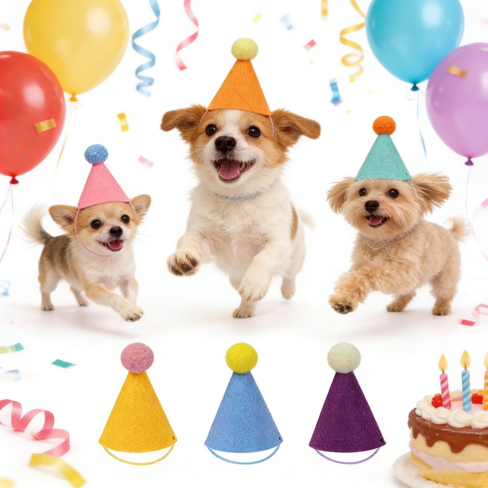 Chapeaux de fête colorés pour  - Party Hat Cone avis et prix